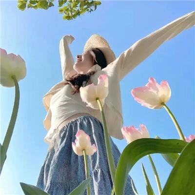 流水无情逢清风